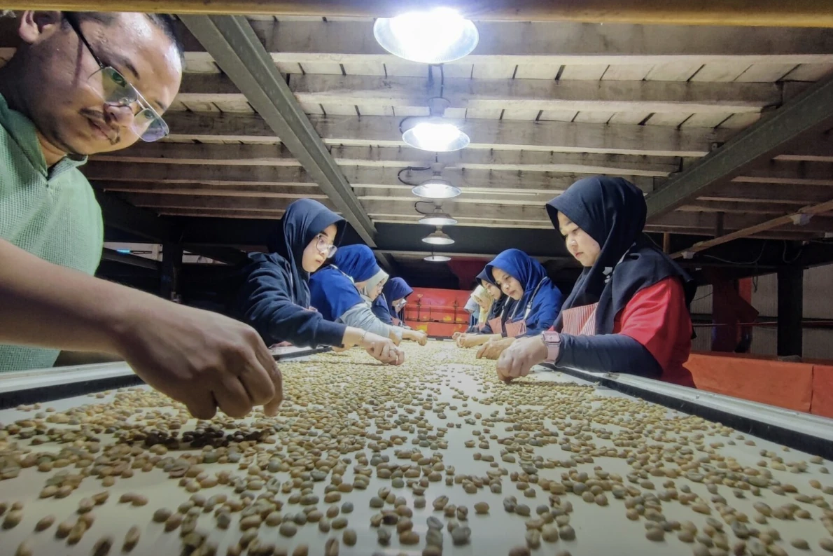 From Farm to Future: A Conversation with Fikri from Frinsa Estate